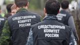 Организатор нападений на прохожих в Петербурге объявлен в международный розыск — СК