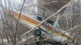 Самолет разрушен: под Новосибирском неудачно приземлилась Cessna-172M