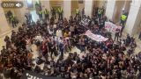 Протестующие ворвались в Капитолий и требуют прекратить обстрел Газы — видео