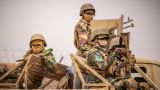 WSJ: Вторжение в Нигер в ближайшее время не начнется