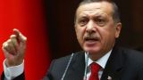 Эрдоган не исключил возможность военных операций против поддержанных США курдов