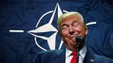 Трамп: США останутся в НАТО, если Европа станет платить «справедливую долю»