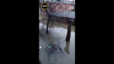 Ухудшается паводковая ситуация в Оренбурге — мэрия