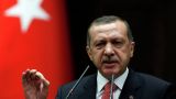 Турецкий президент недоволен Западом за поддержку курдов