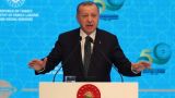 Эрдоган попросил турок запастись терпением и довериться его экономической политике