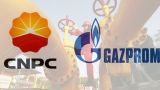 «Газпром» и китайская CNPC намерены совместно строить «Силу Сибири»