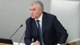 Володин поручил изучить вопрос о конфискации имущества у «поливающих Россию грязью»