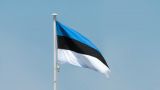МИД Эстонии вызвал временного поверенного России из-за объявления в розыск Каллас