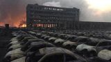 По делу о взрыве в китайском порту Тяньцзиня арестованы 12 человек