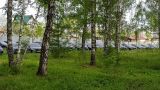 Власти Челябинской области объяснили стоянку своих машин «в лесу»