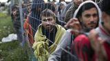 Чехия до конца года отказывается принимать беженцев