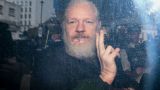 Amnesty International призвала Байдена снять обвинения против основателя WikiLeaks