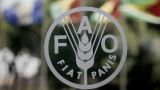 Кишинев предупредил: российскую делегацию на сессии ФАО не желают видеть