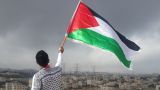 Вступится ли арабо-мусульманский мир за Палестину — мнение «Голоса арабов»