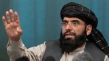 Первое интервью представителя «Талибана»: Ожидаем, что Россия поддержит нас