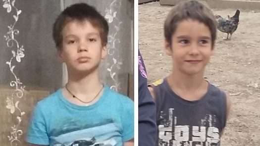Неизвестные похитили 2-х братьев-школьников в Тульской области