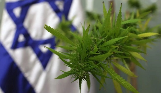 В Израиле посоветовали заменить тюрьму на штраф попавшимся с марихуаной