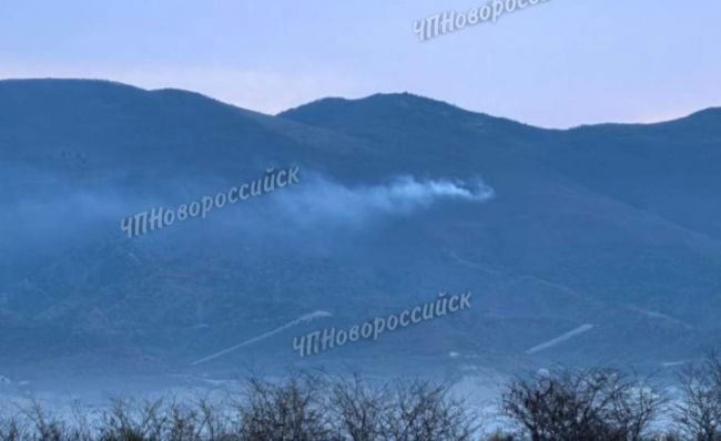 Под Новороссийском из-за украинского БПЛА загорелся лес