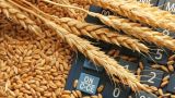 Эксперты рассказали, что привело к падению цен на российскую пшеницу
