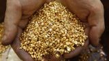 Производство золота в России выросло на 2%