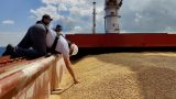 Без зерновой сделки вообще капут — в Киеве подсчитывают убытки
