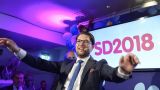 На выборах в Швеции антимигрантская партия заняла третье место
