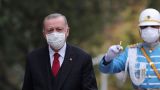 Эрдоган обиделся за Turkovac: президент заклеймил турецких медиков «аферистами»