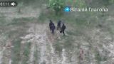 Пятеро украинцев ушли в Венгрию, сбив с толку пограничников — видео