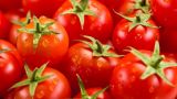 Турция пообещала России ответить на ограничения поставок томатов