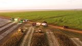 Посол Бразилии: Российский дизель помогает нашему сельскому хозяйству