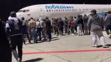 За массовые беспорядки в аэропорту Махачкалы арестованы 44 человека