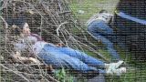 Появилось фото убитых в Киевской области ликвидаторов полковника СБУ Воронича