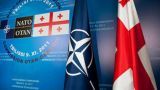 Грузия — НАТО: манипуляции c планами и ассоциациями, а членства все нет