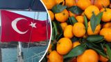 Турция продолжает лидировать в торговле с Украиной