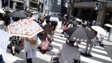 В Токио более 200 жителей госпитализированы из-за сильной жары