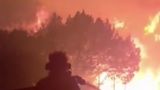 Греческая антиутопия: Лесные пожары, раздуваемые мощным ветром, подступили к Афинам