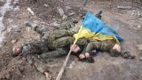 В ДНР заявляют, что ВСУ оставили захваченные позиции под Дебальцево