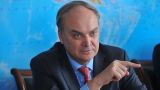 США не хотят мира на Украине и «подливают масла в огонь» — посол Антонов