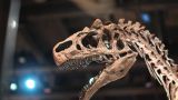 В Ленобласти откроют палеонтологический парк с динозаврами
