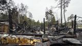 Partizan restaurant burned to the ground near Kiev — video