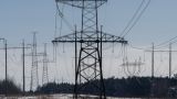 10 months after the rejection of Lithuania will check the adequacy of the Russian energy system