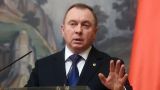 Глава МИД Белоруссии прокомментировал сообщение о контртеррористической операции
