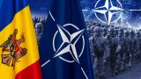 Влах: Власти Молдавии скрывают новые аспекты партнерства с НАТО