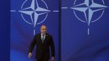 Болгарский президент ответил «любителям войны» отказом ехать на саммит НАТО