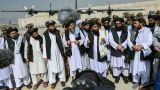 МИД Италии: В новое правительство Афганистана входят 17 террористов