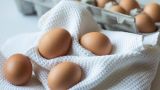ФАС настоятельно рекомендовала сетям ограничить наценку на куриные яйца