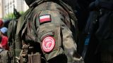 В Польше отчитались об увеличении численности армии