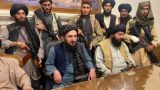 Талибы пообещали, что Афганистан не будет создавать угроз для других стран