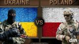 Накал между поляками и украинцами настолько велик, что ни НАТО, ни Россия не спасут