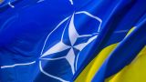Зеленский считает, что для приглашения Украины в НАТО есть все основания